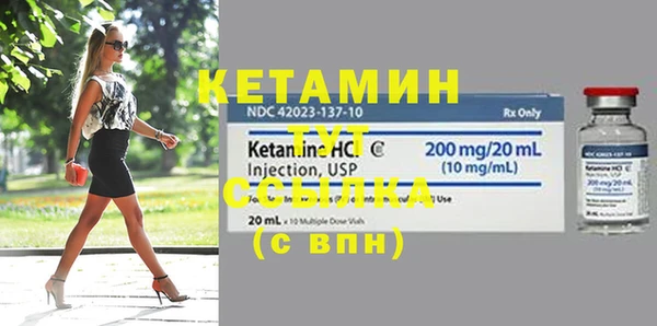 трава Карпинск