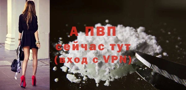 трава Карпинск