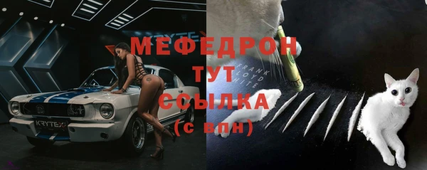 трава Карпинск