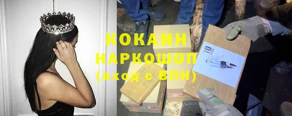 трава Карпинск