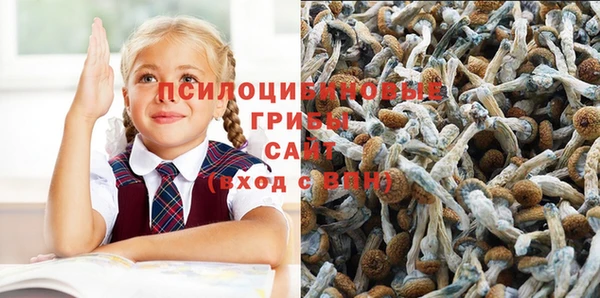 2c-b Касимов