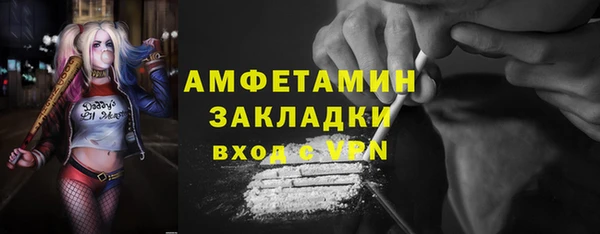 трава Карпинск