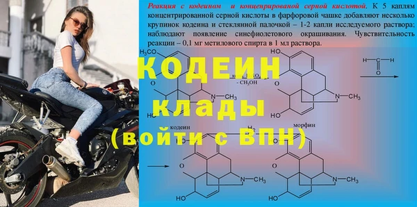 трава Карпинск