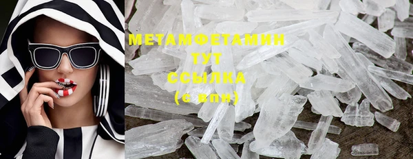 трава Карпинск