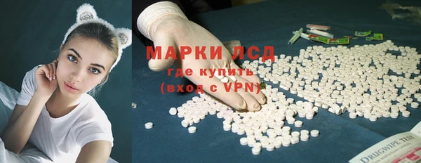 трава Карпинск
